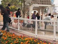 -国色天乡三期陆地乐园