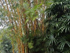 -人民公园(罗湖区)