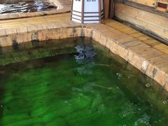 -杭州第一世界大酒店·云曼温泉