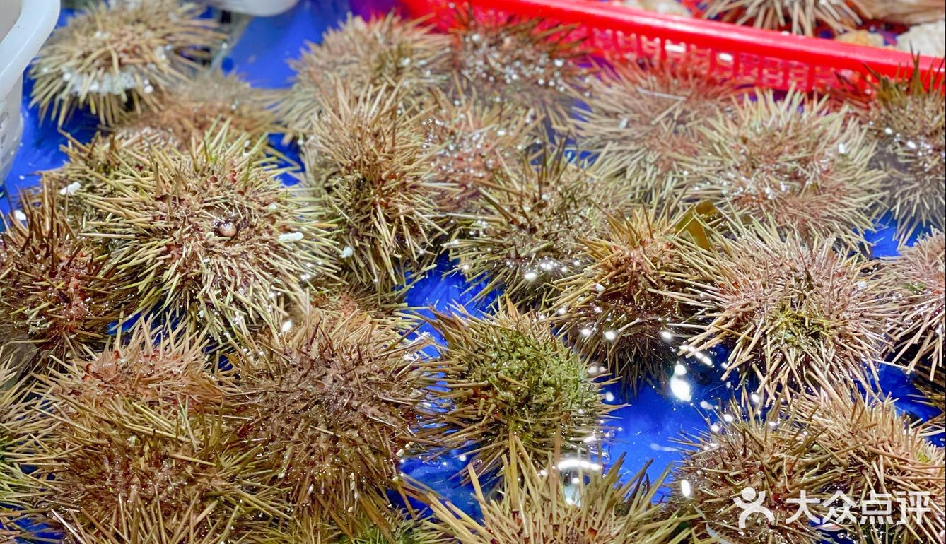 北京探店｜打卡行运旗下的网红粤菜餐厅