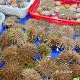 北京探店｜打卡行运旗下的网红粤菜餐厅