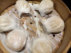 -高第街56号融合餐厅(振华五星百货店)