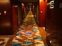 -常州环球恐龙城维景国际大酒店