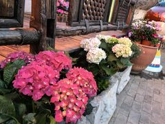 -慢丽江·云南野生菌土鸡锅(西山店)