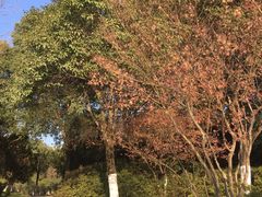 -天鹅湖体育公园