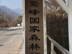 -北京鹫峰国家森林公园