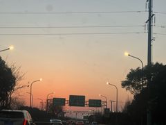 -春花秋色城市公园