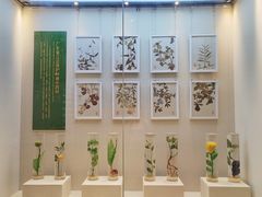 -广东中医药博物馆