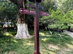 -习家池