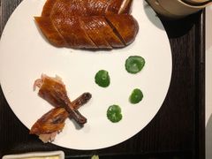 -梧桐
