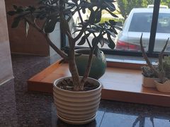 -韩香福烤肉庄园(荣成店)