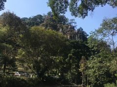 -广州市石门国家森林公园