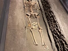 -呼伦贝尔民族博物馆