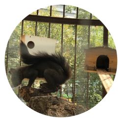 -萌宠亲子动物乐园(槐房万达店)