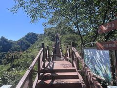 -大岭沟猕猴桃谷风景区