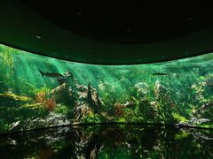 -中国湿地博物馆