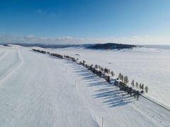 -塞罕坝国家级自然保护区