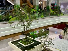 -国芳中心