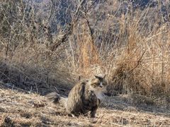 -北京西山国家森林公园