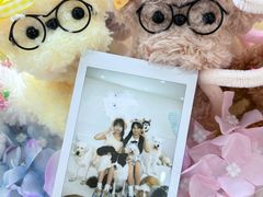 -汪说·狗咖·拼豆·宠物周边DIY(旺城大厦店)