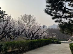 -元大都城垣遗址公园