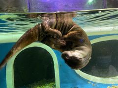 -成都浩海立方海洋公园