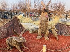 -北京西山国家森林公园