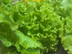-韩宫宴和牛烤肉(上海金山万达店)