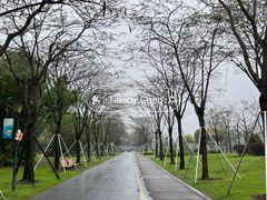-顺峰山公园
