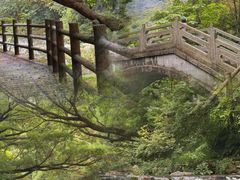 -广州市石门国家森林公园