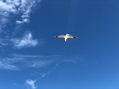 -黄金海岸