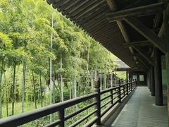 -大唐贡茶院