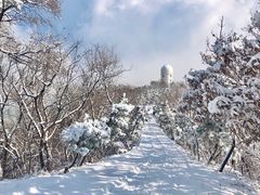 -山东大学(威海校区)