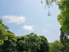 -贵阳市花溪国家城市湿地公园