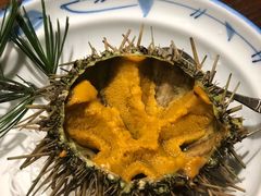生食海胆-江户前日本料理(瑞诗酒店店)