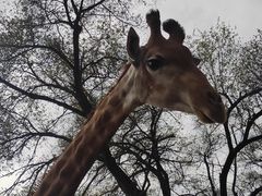 -沈阳森林动物园