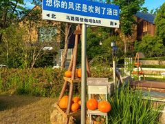 -天目湖涵田度假村
