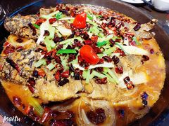 -老板恋上鱼(恒隆广场店)