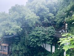-南山植物园