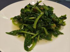 腌菜鸡油炒豆尖-翠府(翠湖北路店)
