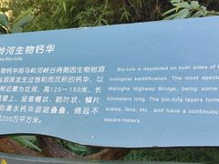 -马岭河峡谷风景区