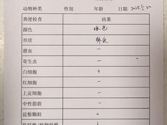 -瑞派·关忠动物医院·异宠专科·犬猫肿瘤·皮肤专科(望京店)