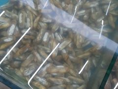 android_upload_pic-天津乾毓德饭庄·清真传统炒菜·海鲜烧烤(咸阳路店)