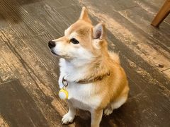 -三目仓咖啡(贤南路店)