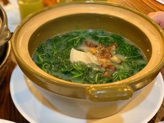 上汤浸辣椒叶-猪肉婆私房菜(容桂总店)
