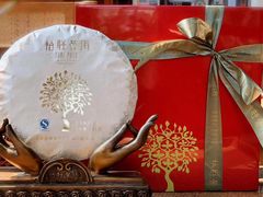 -大可堂普洱茶馆(襄阳南路馆)