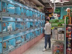 -FAELING PETS美天灵宠物(合生汇店)