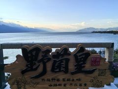 -野菌皇海景野生菌火锅(滨海大道店)