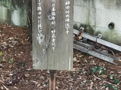 -井之头恩赐公园