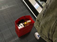 -DFS迪斐世(澳门四季名店)